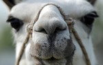 Avatar du membre