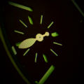 Avatar du membre
